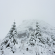 Illustration for article titled Mt. Si - Simplify and Add Lightness